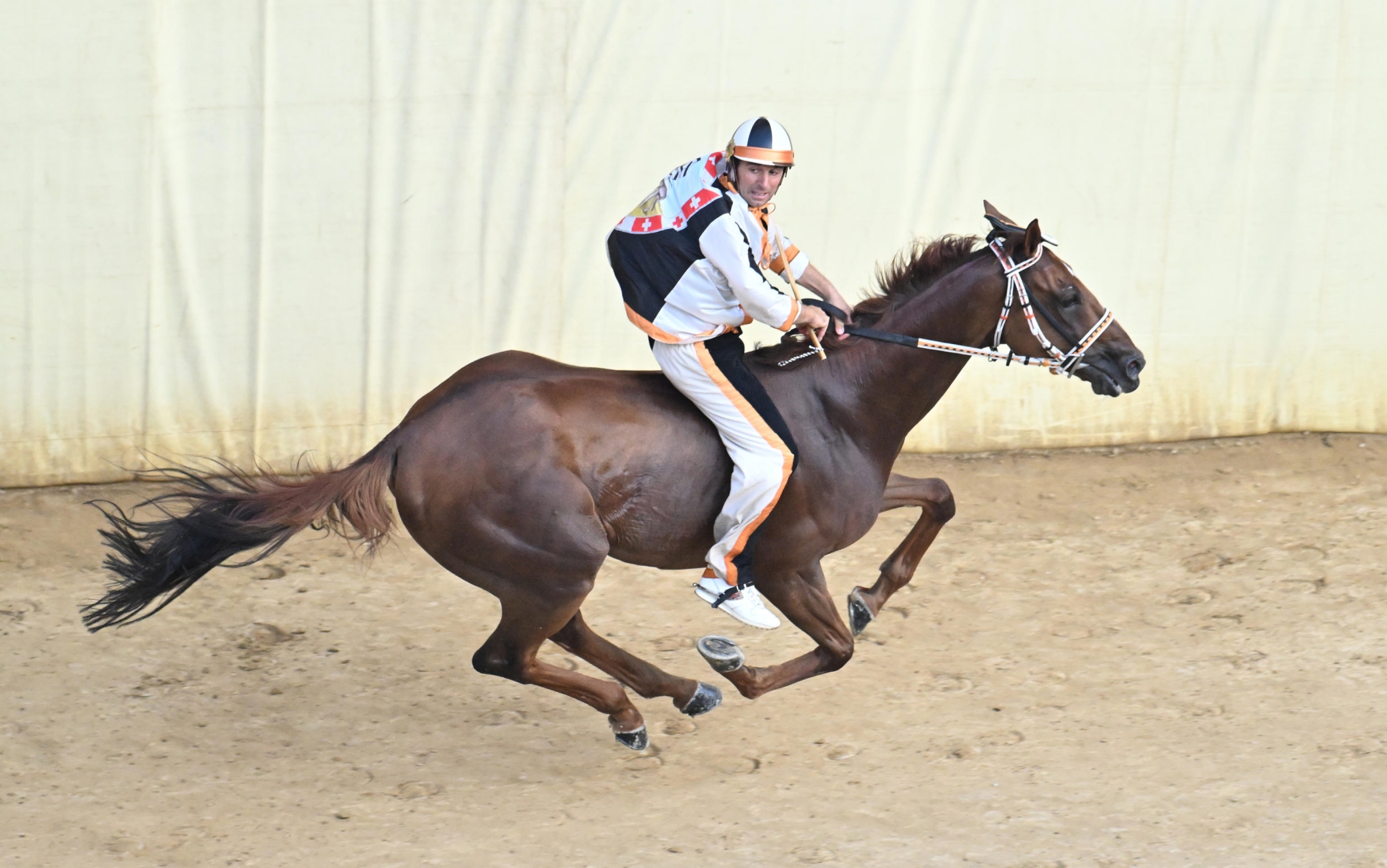 Palio di Siena dell'Assunta, la contrada della Lupa vince l'edizione