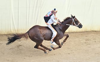 The monkey of Contranda of Lupa  named  Dino Pes    of nickname Velluto on  Benitos  wins the historical Italian horse race Palio di Siena, in Siena, Italy, 17 August 2024. The traditional horse race takes place on 17 August as the 'Palio dell'Assunta' during the holidays for the Assumption of Mary.
ANSA/CLAUDIO GIOVANNINI