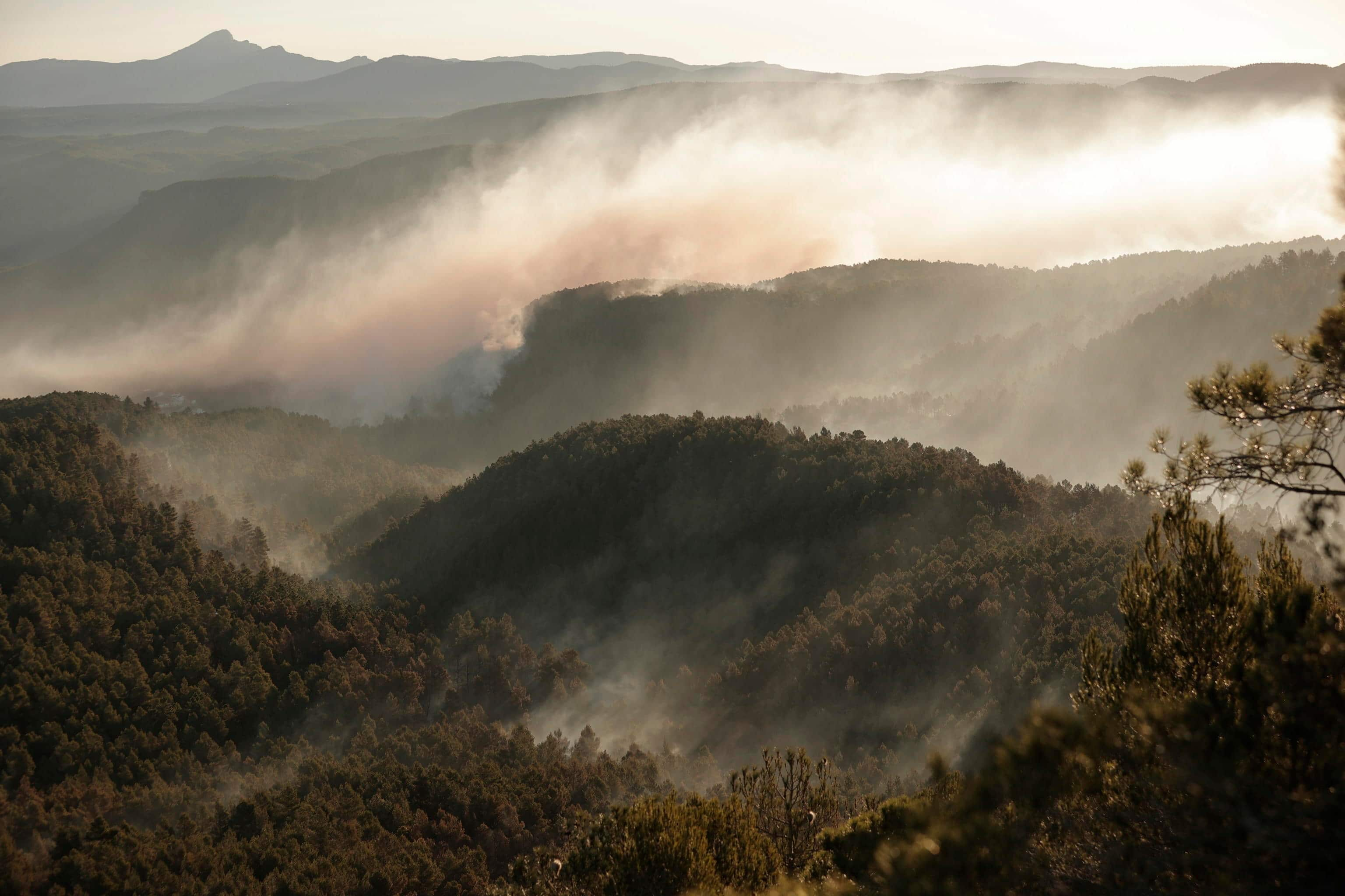 epa10542231 Smoke rises during a forest fire in Los Peiros, Teruel, Spain, 25 March 2023. Some 500 firefighters were deployed to tackle the fire that broke out in Castellon and Teruel on 23 March.  EPA/MANUEL BRUQUE