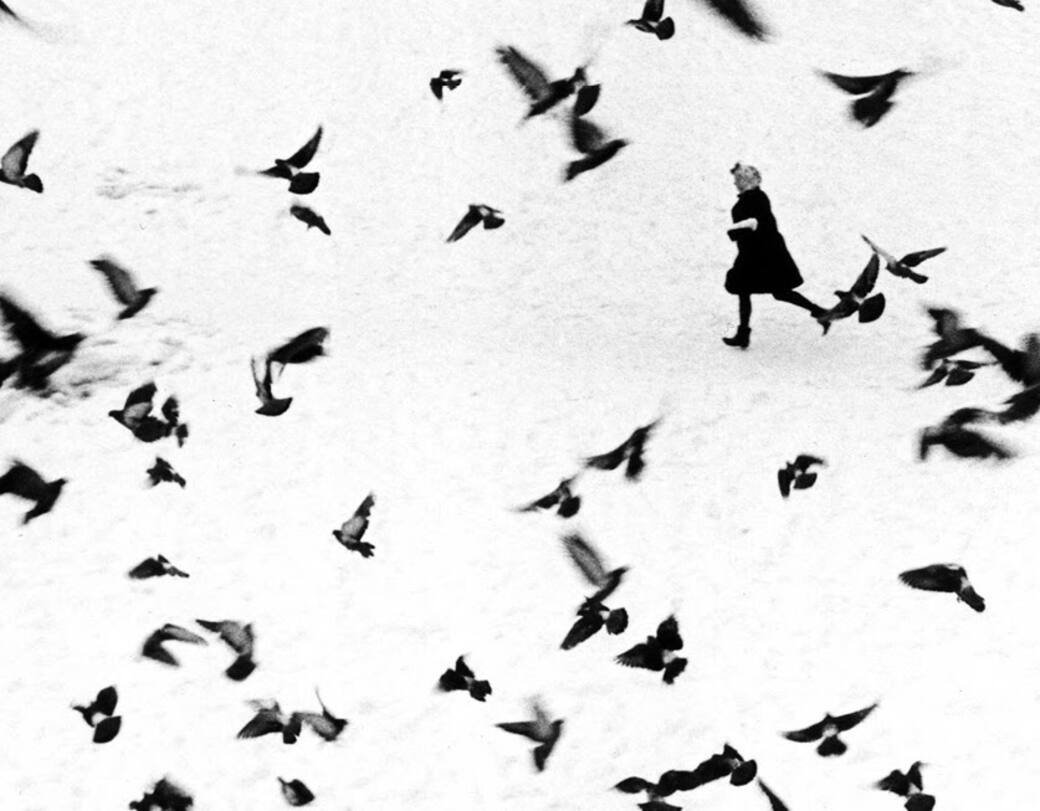 Un dettaglio della copertina di “Gianni Berengo Gardin”