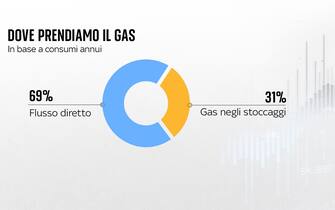 una grafica sulla provenienza del gas