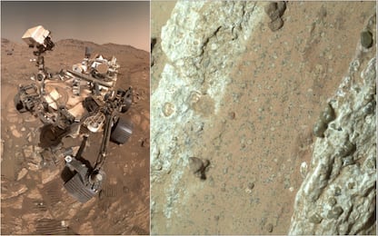 Perseverance Nasa Marte