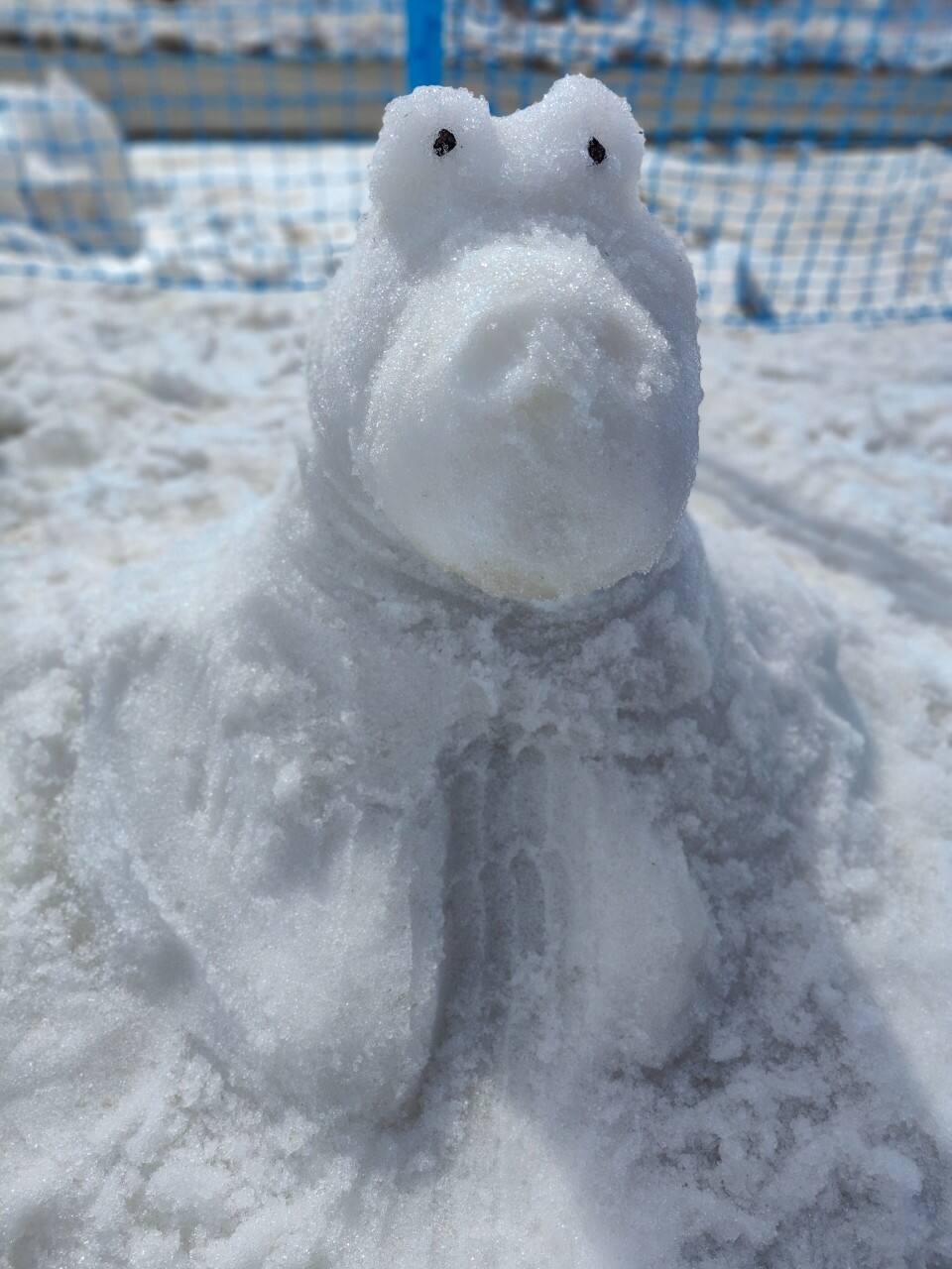 Foto scattata sul Monte Bianco