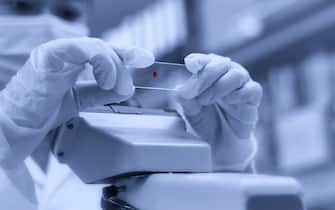 Microbiologist test the blood sample by microscope in Laboratory