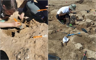mont'e prama sardegna scavi archeologici giganti
