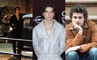 timothee-chalamet-ipa-webphoto - 1