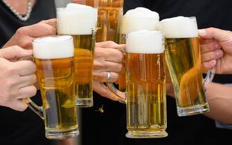 11 August 2022, Saxony, Dresden: Participants in a photo session for Dresden's "Canaletto Stadtfest" toast with beer in front of Freiberg's Schankhaus on Neumarkt square while a wasp flies by. The musicians of Silly perform on August 20, 2022 as part of the city festival on Theaterplatz. The free appearance of the cult band is supported by two Saxon breweries. Photo: Robert Michael/dpa/ZB (Photo by Robert Michael/picture alliance via Getty Images)