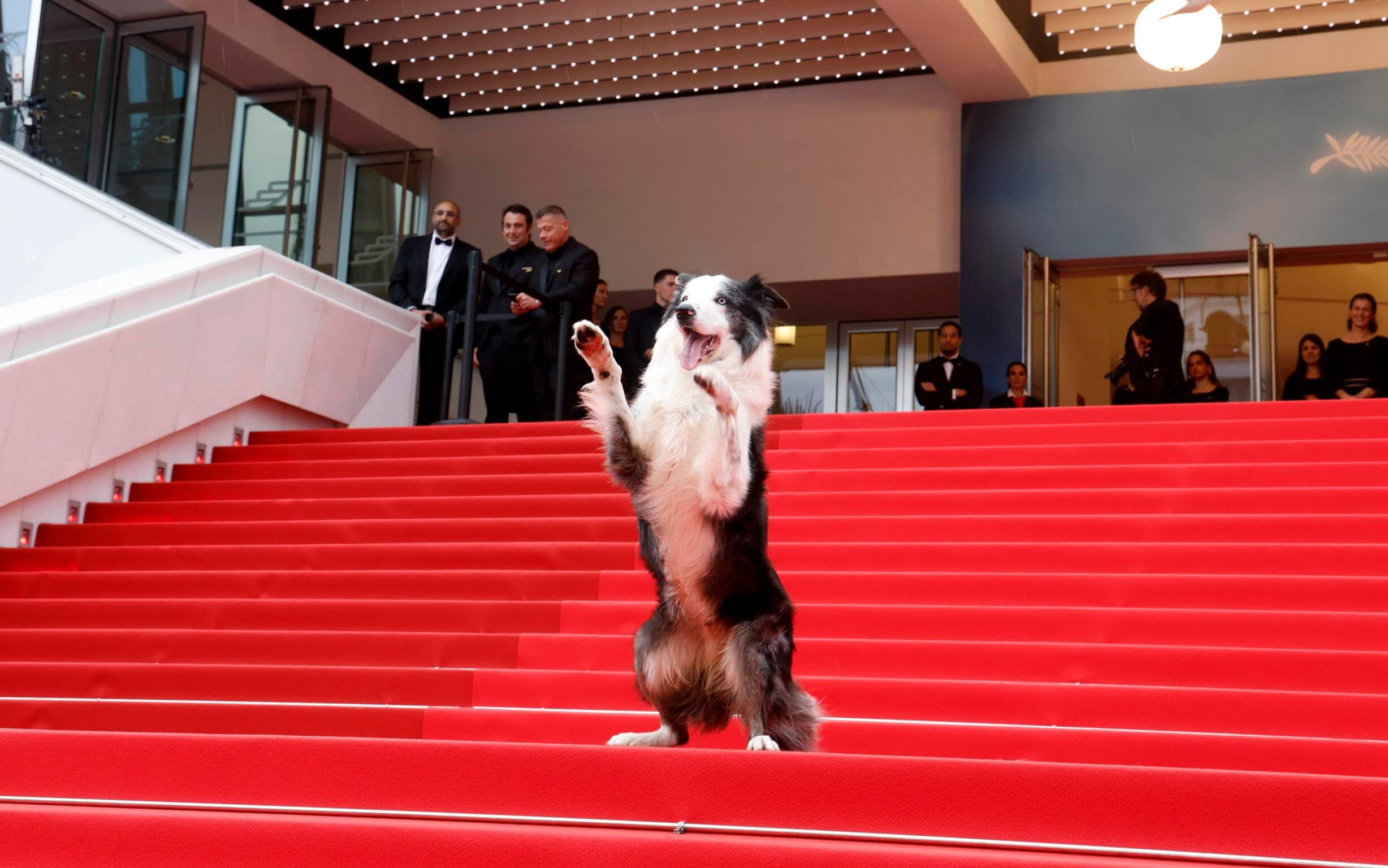 FRANCE CANNES FILM FESTIVAL 2024