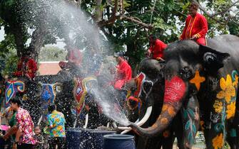 AYUTTHAYA, THAILAND - 2023/04/11: Elephants splash people with water in celebration of the Songkran Water Festival in Ayutthaya province, north of Bangkok. The event was held to promote tourism in Thailand. (Photo by Chaiwat Subprasom/SOPA Images/LightRocket via Getty Images)
