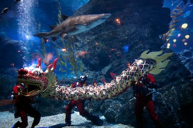 epa11130716 Scuba divers perform an underwater dragon dance during a special seasonal performance to celebrate the upcoming Chinese Lunar New Year at Sea Life Bangkok Ocean World aquarium in Bangkok, Thailand, 06 February 2024. The Chinese Lunar New Year, also called the Spring Festival, falls on 10 February 2024, marking the start of the Year of the Dragon.  EPA/RUNGROJ YONGRIT