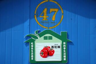 epa09147570 A tomato's nameplate is seen outside a greenhouse in Bageqi village of Aksu, western China's Xinjiang Uyghur Autonomous Region during a government organized trip for foreign journalists, 20 April 2021. Japanese ketchup producer Kagome has stopped importing tomatoes from China's Xinjiang, the company said on 14 April, joining the growing ranks of Western brands that have ceased sourcing materials from the region over reported abuses against Uyghur Muslims.  EPA/WU HONG