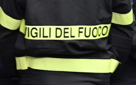 Maltempo, albero su auto nel Materano: morto un ragazzo. Altri tre feriti Maltempo, albero su auto nel Materano: morto un ragazzo. Altri tre feriti