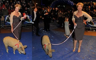 Emma Thompson