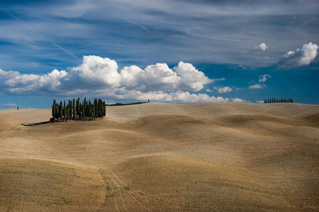 Foto di Anton Sulsky su Unsplash
