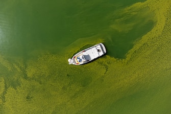 epa10815898 An image taken with a drone shows a boat on the water of Lake Lugano coloured in green and yellow due to a strong Cyanobacteria (Blue-Green Algae) proliferation, near Riva San Vitale, Switzerland, 23 August 2023. The proliferation of blue-green algeae is favoured by higher water temperatures. In cases of heavy proliferation, the bacteria can release substances that are potentially dangerous to humans and animals.  EPA/Elia Bianchi