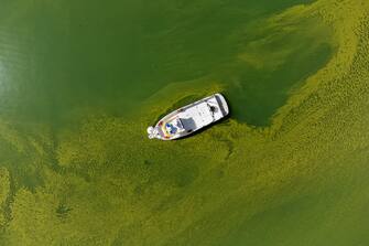 epa10815898 An image taken with a drone shows a boat on the water of Lake Lugano coloured in green and yellow due to a strong Cyanobacteria (Blue-Green Algae) proliferation, near Riva San Vitale, Switzerland, 23 August 2023. The proliferation of blue-green algeae is favoured by higher water temperatures. In cases of heavy proliferation, the bacteria can release substances that are potentially dangerous to humans and animals.  EPA/Elia Bianchi