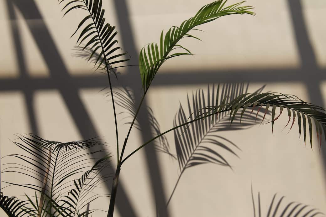Foto_di_Marra_su_Unsplash.jpg