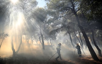 epa11546761 Firefighters try to extinguish a wildfire in Patima Halandri, a suburb of Athens, Greece, 12 August 2024. The wildfire that broke out in Varnavas on 11 August afternoon continued to rage in eastern Attica on 12 August, fanned and spread to a front extending more than 20 kilometers. According to the fire department, the fire-fighting effort is extremely difficult as the wind keeps changing direction, while the three main fronts of concern are in Grammatiko, Penteli and the Anatoli settlement in Nea Makri. A total of 685 firefighters, 27 of forest commando units, 190 fire engines, assisted by 17 water-dropping helicopters and 16 firefighting aircraft and volunteers with the contribution of all the civil protection entities are battling the blaze.  EPA/GEORGE VITSARAS