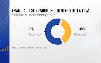 Grafiche Numeri