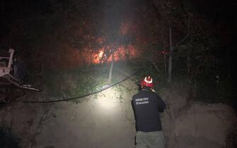 Incendi in Italia
