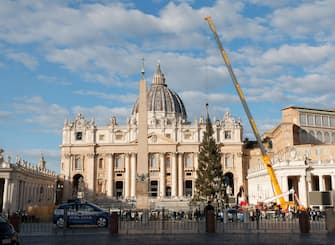 A fir tree from the Piemonte region is erected to serve as a Christmas tree in St. Peter's Square, Vatican,  23 November 2023. 
ANSA/GIUSEPPE LAMI