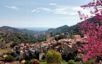 giornate fai primavera 2024