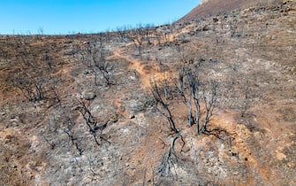 Aerial drone view of the consequences of fires in Greece. Burned vegetation, ash and coal