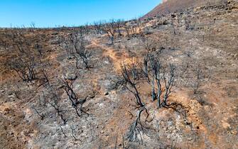 Aerial drone view of the consequences of fires in Greece. Burned vegetation, ash and coal