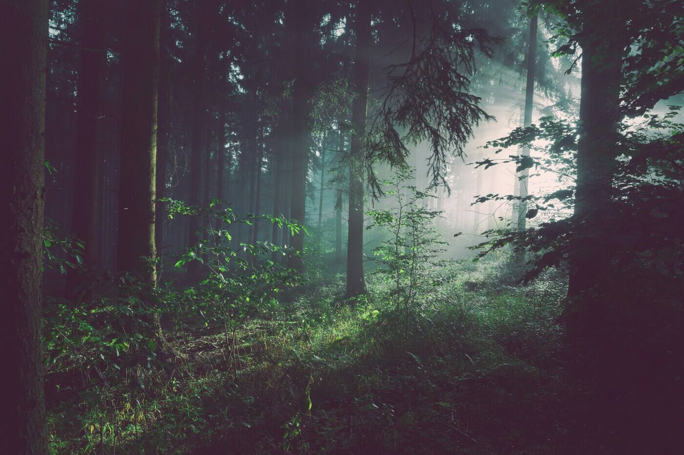 foto di Sebastian Unrau su Unsplash