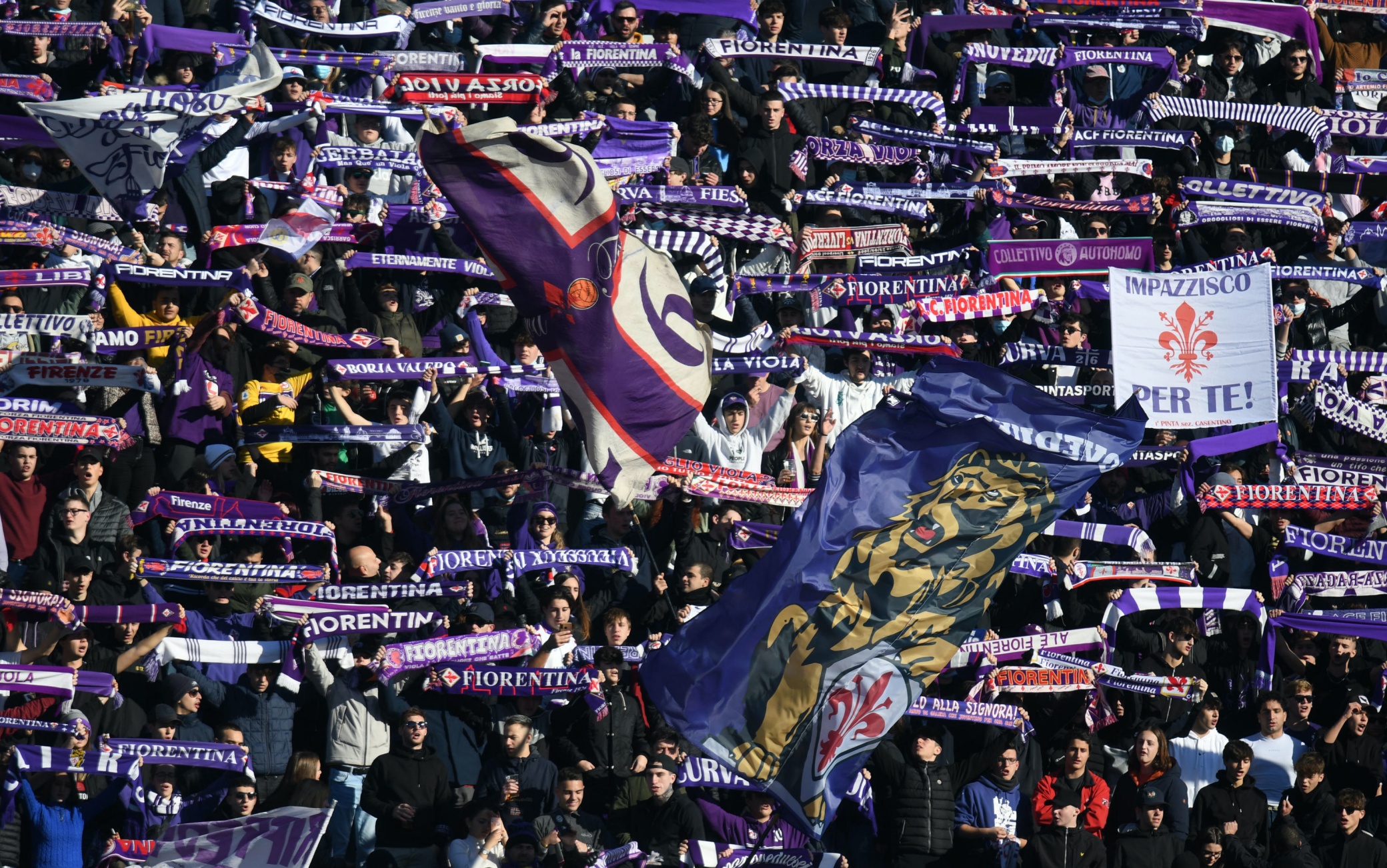 Tifosi Fiorentina