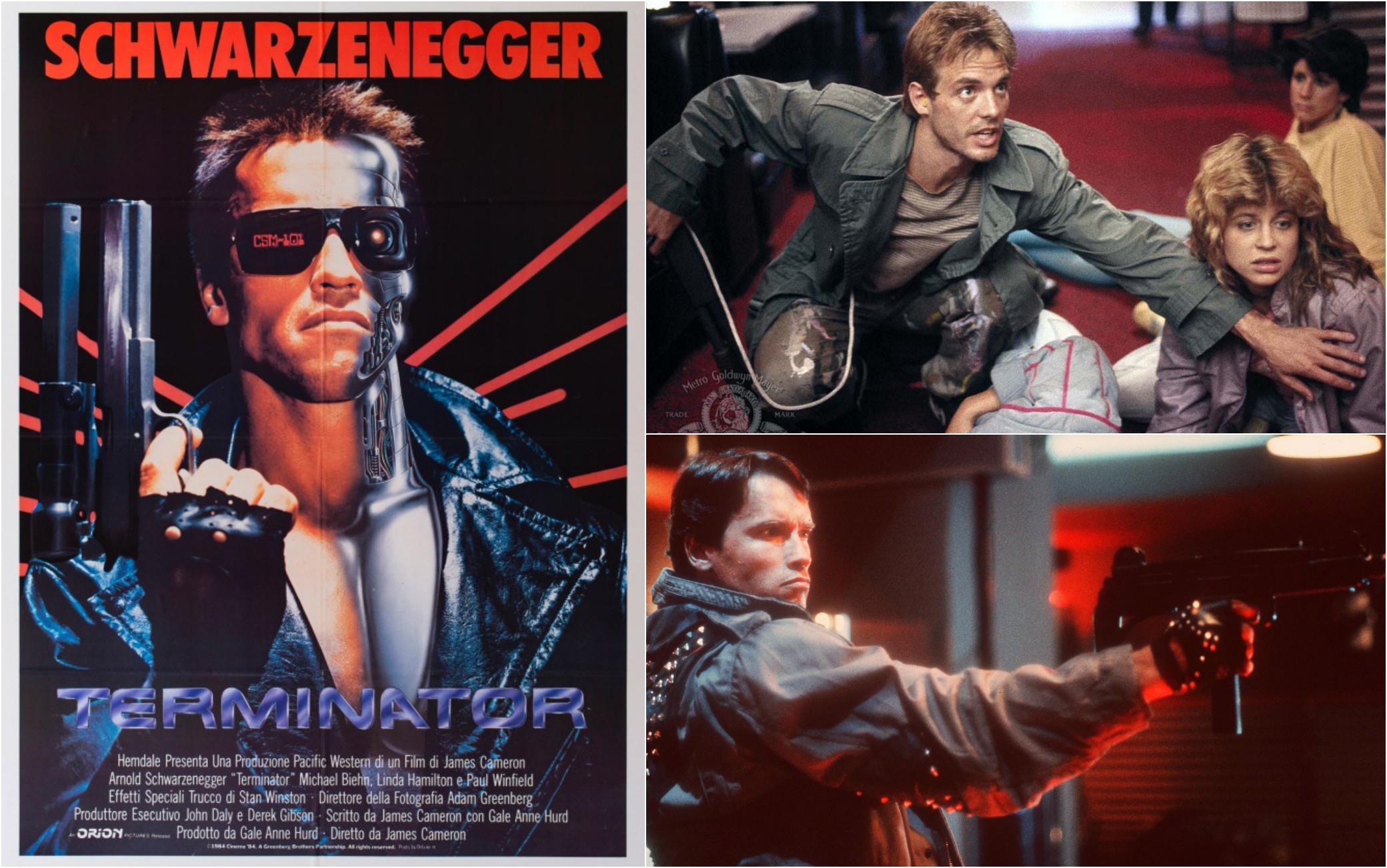 'Terminator' usciva 40 anni fa, 11 cose da sapere sul film cult con ...