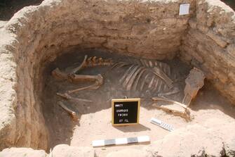 EGYPT ARCHEOLOGY LUXOR LOST GOLDEN CITY