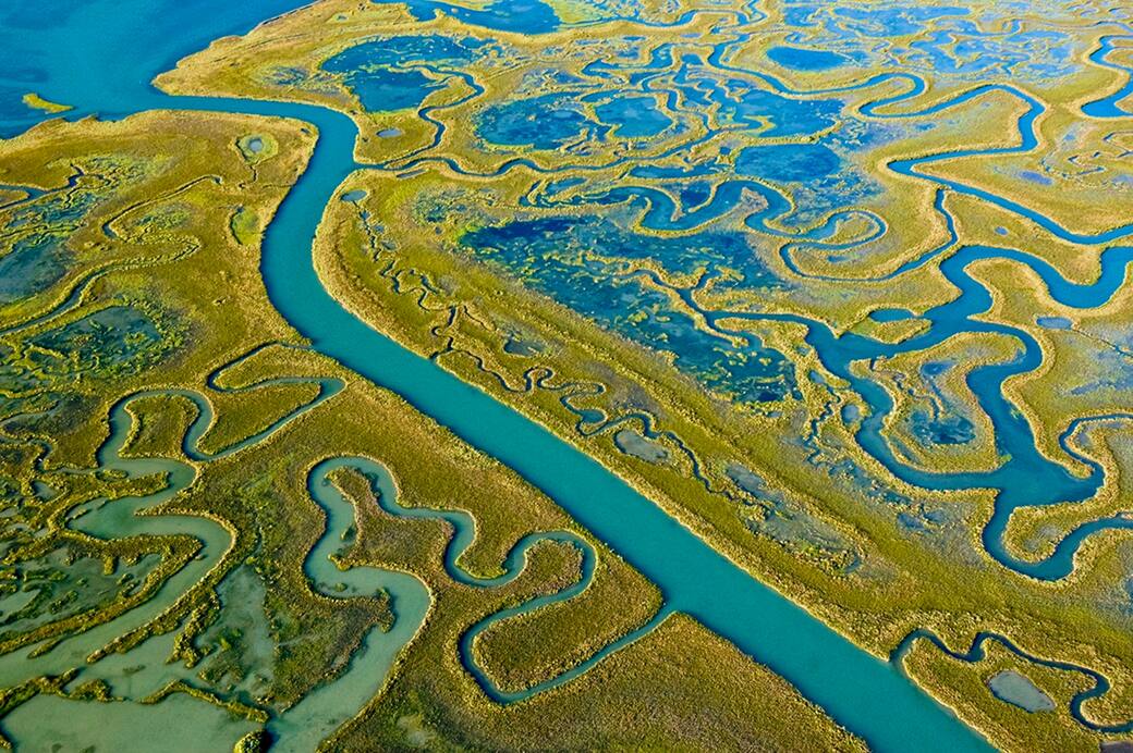 Paolo_Spigariol_Palude_della_Gentrega_laguna_nord_di_Venezia_2005_©_Paolo_Spigariol.jpg