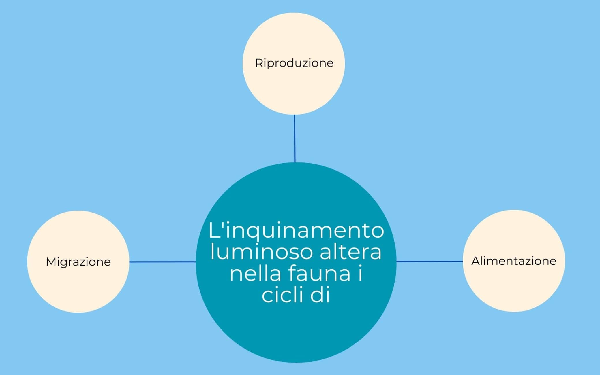 inquinamento oceani