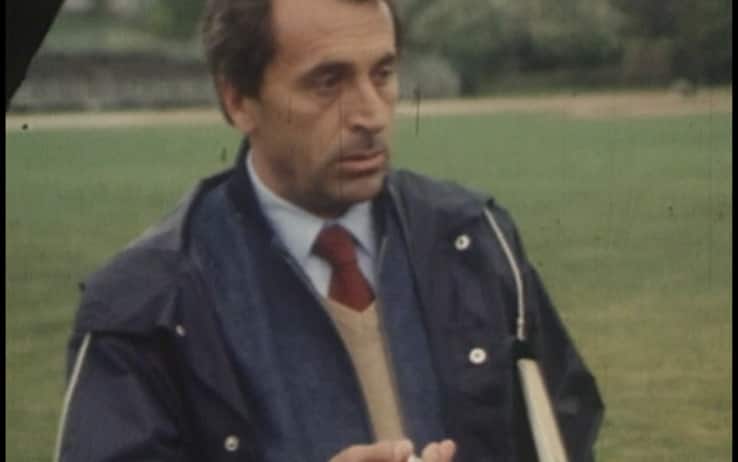 Vittori