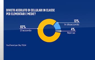 Grafica cellulare in classe