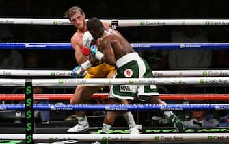 Floyd Mayweather, Logan Paul