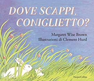 DOVE SCAPPI CONIGLIETTO