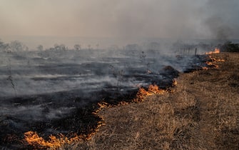 Fire burns vegetation of brazilian savanna. (cerrado)