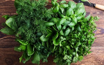 menta e basilico