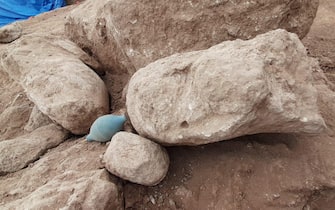 mont'e prama sardegna scavi archeologici giganti