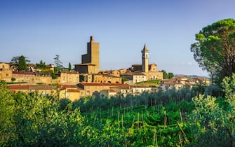 Vinci, Leonardo birthplace, village skyline vineyards and olive trees at sunset. Florence, Tuscany Italy Europe.