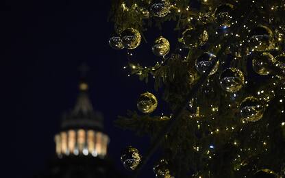 L'albero di Natale e il presepe in piazza San Pietro. FOTO