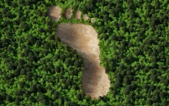 Digital generated image of top view of forest chopped in shape of human foot path. Deforestation and resource waste concept.