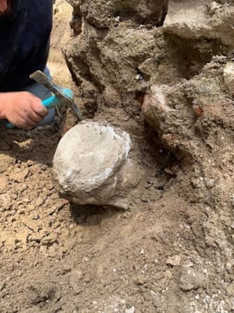 "Roma continua a restituire preziose testimonianze del suo passato: una splendida testa in marmo, integra, è stata appena ritrovata durante i lavori in corso a Piazza Augusto Imperatore curati dalla Sovrintendenza Capitolina ai Beni Culturali. Gli archeologi e i restauratori sono adesso impegnati nella pulitura e nello studio del reperto". Così su Facebook il sindaco Gualtieri annuncia il ritrovamento.  Il prezioso reperto è stato trovato oggi e sembra raffigurare nelle fattezze una giovane donna: lo si evince dai capelli, anche se raccolti, e dai lineamenti delicati. La foto postata da Gualtieri mostra la testa in marmo ancora sporca di terra e residui. ANSA/US CAMPIDOGLIO +++ NO SALES, EDITORIAL USE ONLY +++ NPK +++