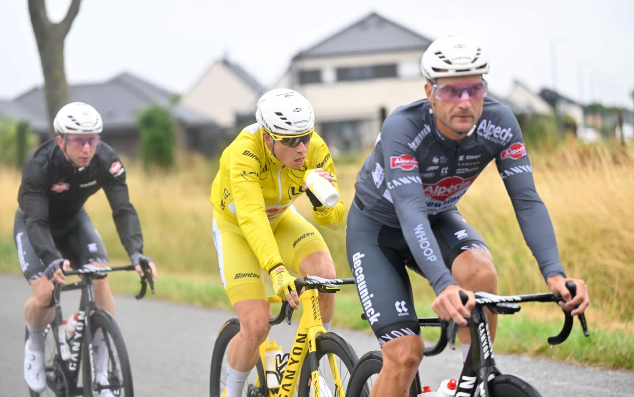 Alpecin