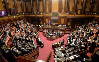Parlamento