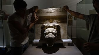 La testa di leone in marmo
prezioso intatta e in perfetto stato di conservazione rinvenuta a Selinunte dall'archeologo Jon Albers durante le ricerche condotte dall'Università di Bochum, 24 Agosto 2023. ANSA/US REGIONE SICILIA