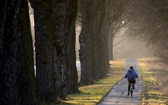 epa10387833 An elderly woman rides a bicycle through the tree alley during a sunny afternoon near Mittenwalde, Branderburg, Germany, 03 January 2023. Temperatures in German Brandenburg state were reported at plus 08 degrees Celsius.  EPA/Filip Singer