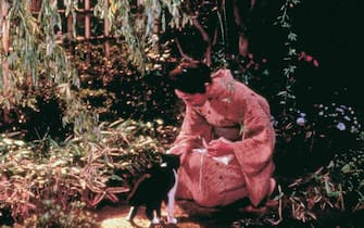 Film e carriera di Kurosawa